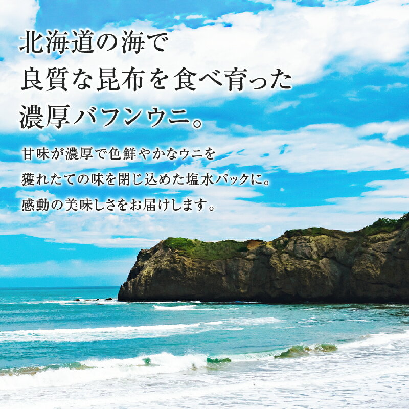 【ふるさと納税】【 先行予約 ： 2024年6月末以降順次発送 】北海道産　世壱屋 塩水ウニ （バフンウニ） 100g 磯の香り 濃厚 風味 北海道 余市町 世壱屋 ウニ エゾバフンウニ バフンウニ 海の幸 海産物 旨味 美味しい 冷蔵便 お取り寄せ グルメ 送料無料