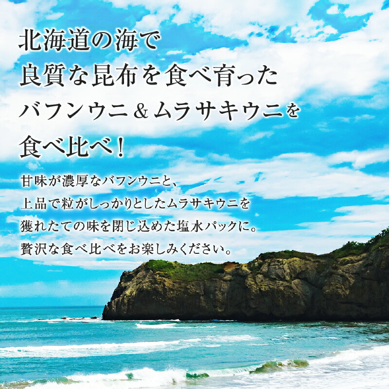 【ふるさと納税】【先行予約：2024年6月末以降順次発送】北海道産 世壱屋塩水ウニ（ ムラサキウニ ＆ バフンウニ ）計 400g 各 200g 冷蔵 国産 身がしっかり 濃厚 甘み 強い ウニ 魚介類 海鮮 海の幸 北海道 余市町 世壱屋 お取り寄せ お取り寄せグルメ 送料無料