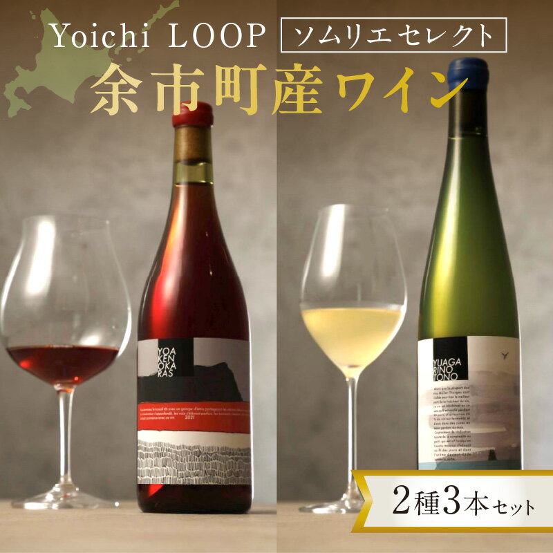 Yoichi LOOP ソムリエセレクト 余市町産ワイン 2種 3本 セット