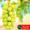 【ふるさと納税】【 先行予約 2025年9月下旬から順次発送 】 シャインマスカット 秀品 1kg【 こだわり栽培 : 糖度18以上 】 安芸農園 農薬50%カ...