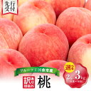 【ふるさと納税】 【先行予約:2025年8月下旬以降発送】訳あり!フルーツ王国 余市産 桃 規格外品 2kg・3kg【ニトリ観光果樹園】北海道 余市町 果物 ジ...