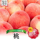 【ふるさと納税】【先行予約:2026年8月中旬以降発送】フルーツ王国余市産「桃」 2kg ・ 3kg【ニトリ観光果樹園】【内容量をお選びください】 フルーツ 果物 ジャム ヨーグルト ケーキ ジューシー 甘い 完熟 旬 夏の果物 国産桃 希少 北海道 余市町 お取り寄せ 送料無料