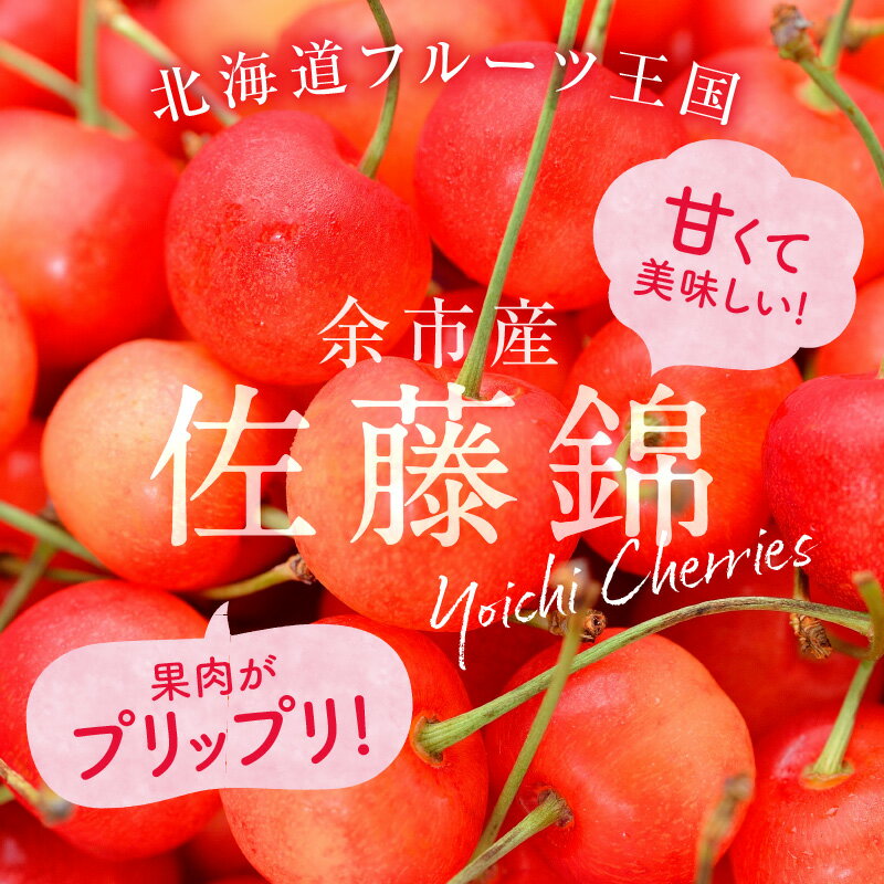 【ふるさと納税】2024年発送【先行予約】令和6年産 今が旬！ さくらんぼの王様 佐藤錦 200g × 4パック 合計 800g L ~ 2Lフルーツ王国 余市産 北海道の味 バラ詰め 小分け 冷蔵 さくらんぼ 果物 フルーツ 期間限定 季節限定 お取り寄せ お取り寄せフルーツ ニトリ観光果樹園