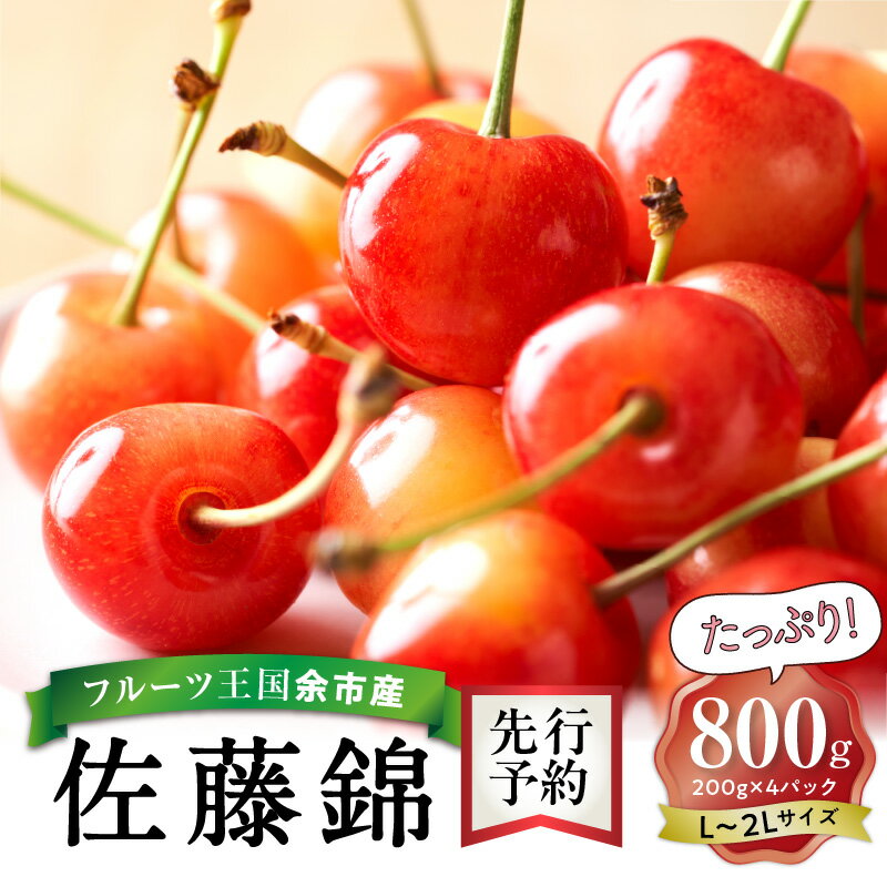 3位! 口コミ数「21件」評価「4.43」2024年発送【先行予約】令和6年産 今が旬！ さくらんぼの王様 佐藤錦 200g × 4パック 合計 800g L ~ 2Lフルーツ王国 ･･･ 