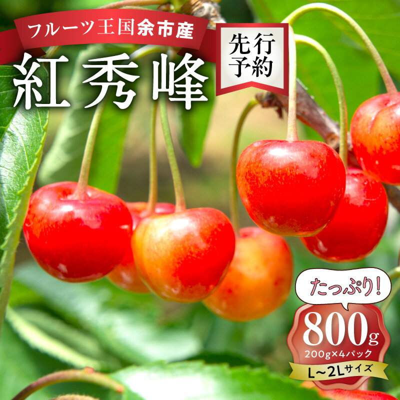 2024年発送【先行予約】令和6年産 甘さとジューシーさがたまらない さくらんぼ 紅秀峰 L～2L 800g フルーツ王国余市産 バラ詰め 200g 4パック 【ニトリ観光果樹園】 チェリー 果物 フルーツ 食品 冷蔵 北海道 余市町 送料無料