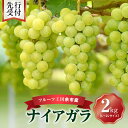 【ふるさと納税】【 先行予約 : 2025年9月中旬以降発送 】フルーツ王国 余市産 「 ナイアガラ 」 2kg 【 ニトリ観光果樹園 】 果物 フルーツ ぶど...