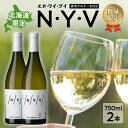 【ふるさと納税】数量限定 ＆ 北海道限定 N・Y・V（エヌ・ワイ・ブイ） 余市ケルナー2022 2本 セット 白ワイン 辛口 マスカットのような余韻 魚料理 ニッカ余市ヴィンヤード お取り寄せ 北海道 余市町 送料無料