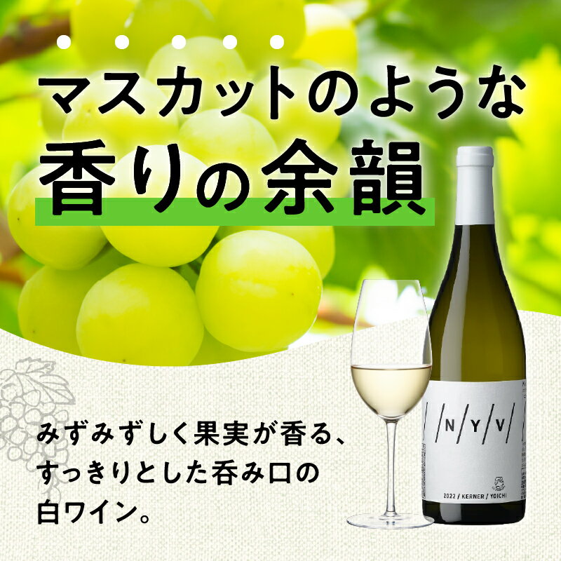 【ふるさと納税】数量限定 ＆ 北海道限定 N・Y・V（エヌ・ワイ・ブイ） 余市ケルナー 2022 白ワイン 辛口 マスカットのような余韻 魚料理 ニッカ余市ヴィンヤード お取り寄せ 北海道 余市町 送料無料