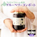 【ふるさと納税】 ブルーベリー コンポート 2本入 パン ヨーグルト パンケーキ トッピング 朝食 デザート 甘み やさしい香り スムージー クラッカー フルー...