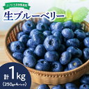 【ふるさと納税】【先行予約:2025年7月中旬以降発送】生ブルーベリー1kg 朝食 お中元 ジャム ヨーグルト ケーキ タルト お菓子作り スムージー パイ ス...