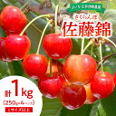 【ふるさと納税】【先行予約:2025年6月下旬以降発送】さくらんぼ【佐藤錦】1kg 冷蔵 スイーツ サクランボ ゼリー ジュース コンポート シャーベット ロー...