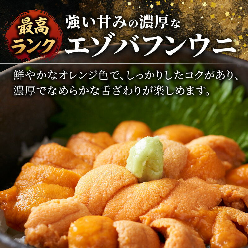 【ふるさと納税】【先行予約：2025年6月以降発送】余市産最高ランク「 塩水うに ( エゾバフンウニ ) 」 100g × 2個 余市産 うに 塩水パック 高品質 厳選 海鮮 グルメ 特産品 名産品 産地直送 鮮度 ギフト 贈答品 料亭 寿司 北海道 余市町 送料無料