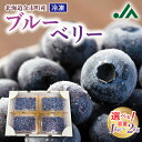 【ふるさと納税】甘くてジューシー 余市産 ブルーベリー 冷凍 北海道 余市町 国産 抗酸化作用 フルーツ 果物 お取り寄せ 小分け パック スムージー ジュース...