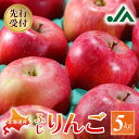 【ふるさと納税】【2025年11月下旬以降発送分先行予約】りんご ふじ 5kg 果物 アップル フルーツ ジュース 飲料 果物 スイーツ ジャム アップルパイ フルーツ スムージー ヨーグルト ジュース タルト お菓子作り ケーキ 飲み物 お取り寄せ 先行予約 北海道 余市町 送料無料