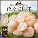 【ふるさと納税】北海道産 ほたて 貝柱 500g or 1kg 新鮮 肉厚 食感 食べごたえ抜群 甘い 冷凍 刺し身 海鮮丼 バター焼き オホーツク産 海鮮 魚...