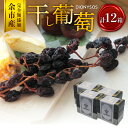 【ふるさと納税】【ギフトボックス】余市産 完全無添加 干し葡萄 DIONYSOS 2種 12箱セット レーズン セレクトワイン 旅路 ナイアガラ ソムリエ手作り...