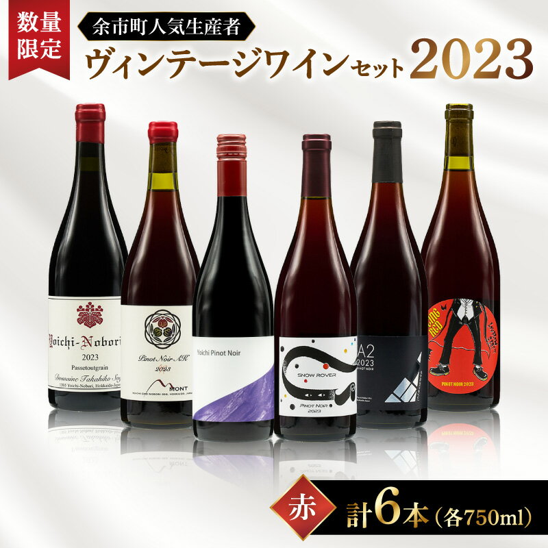 【ふるさと納税】【数量限定】余市町人気生産者 2023年ヴィンテージ 6本セット 赤750ml×6本 北海道 余市町 送料無料