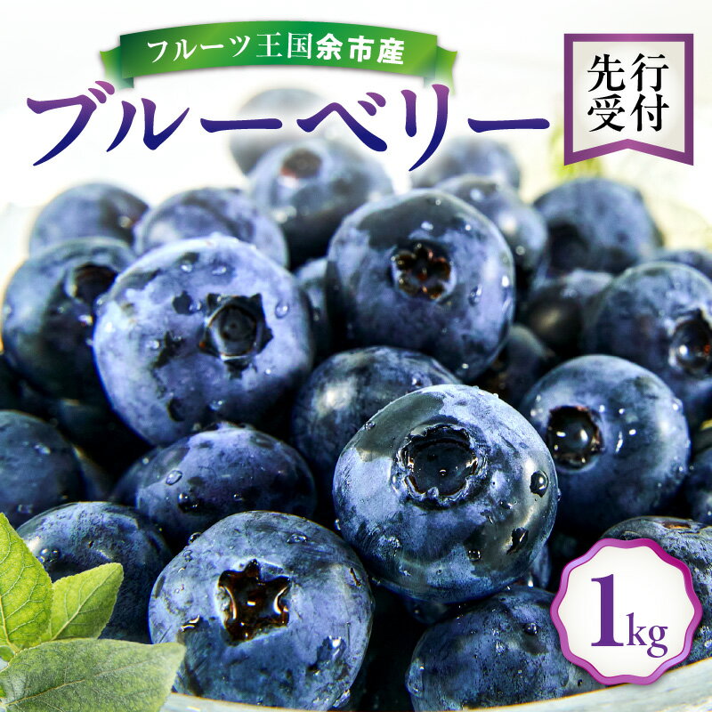 [ 先行予約 : 8月上旬以降発送 ]フルーツ王国余市産 生ブルーベリー 1kg [ ニトリ観光果樹園 ] 国産 抗酸化作用 フルーツ 果物 お取り寄せ スムージー ジュース ヨーグルト ジャム アレンジ 送料無料 北海道 余市町