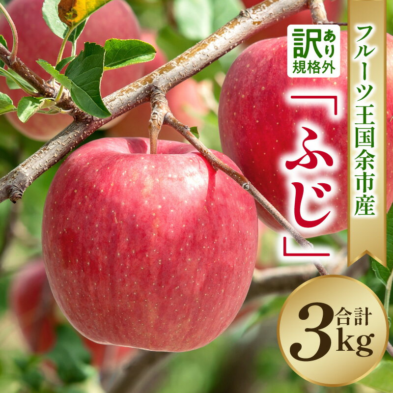 【ふるさと納税】 【 2025年11月下旬より発送 】フルーツ王国余市産 訳あり 「 ふじ 」 3kg【 ニトリ観光果樹園 】 果物 リンゴ 林檎 フルーツ りんご ふじりんご アップルパイ スムージー お取り寄せ 先行予約 北海道 余市町 送料無料