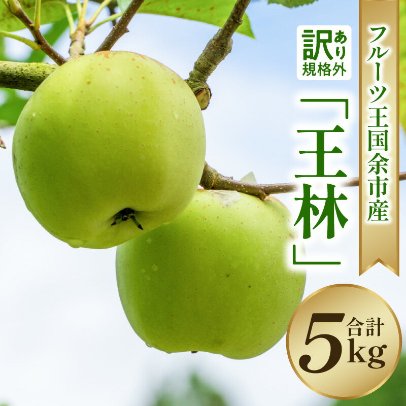 【ふるさと納税】【2025年11月下旬より発送】フルーツ王国余市産 訳あり「王林」5kg【ニトリ観光果樹園】 果物 アップル 林檎 りんご 果物 くだもの フルーツ ギフト 贈答 贈り物 デザート おやつ ジュース アップルパイ ゼリー ジャム お取り寄せ 北海道 余市町 送料無料