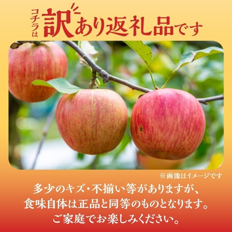 【ふるさと納税】【2025年11月下旬より発送】フルーツ王国余市産 訳あり「王林」3kg【ニトリ観光果樹園】 果物 アップル 林檎 りんご 果物 くだもの フルーツ ギフト 贈答 贈り物 デザート おやつ ジュース アップルパイ ゼリー ジャム お取り寄せ 北海道 余市町 送料無料