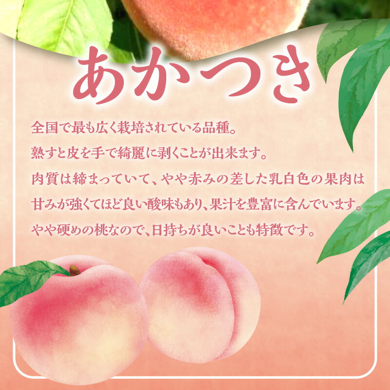 【ふるさと納税】【 先行予約 2025年8月下旬より発送 】＜ 北海道余市産 ＞ 桃「 あかつき 」2kg（6～10玉）【 北海道アグリドリーム 】北海道 余市町 果物 ジャム ヨーグルト ケーキ 国産 お取り寄せ 送料無料