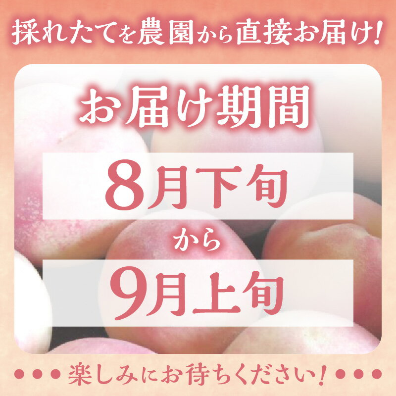 【ふるさと納税】【 先行予約 2025年8月下旬より発送 】＜ 北海道余市産 ＞ 桃「 あかつき 」2kg（6～10玉）【 北海道アグリドリーム 】北海道 余市町 果物 ジャム ヨーグルト ケーキ 国産 お取り寄せ 送料無料