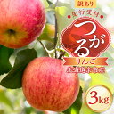 【ふるさと納税】【先行予約2025年9月下旬より発送】<北海道余市産>訳アリ りんご(つがる)3kg 訳ありりんご つがるりんご お買い得 家庭用りんご 格安り...