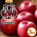【ふるさと納税】【先行予約2025年10月中旬より発送】訳アリ りんご(早生ふじ)3kg【北海道余市町産】 北海道産 りんご予約 北海道りんご 酸味少ない みずみずしい りんご ジューシー 果肉やわらか しゃりっとした食感 秋の味覚 北海道特産 北海道 余市町 送料無料