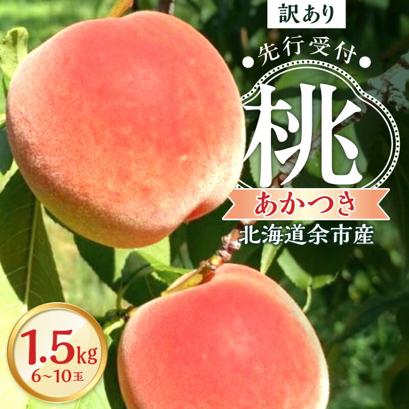 【ふるさと納税】【 先行予約 2026年8月下旬頃より発送 】< 北海道余市産 >訳アリ 桃「 あかつき 」1.5kg(6〜10玉)【 北海道アグリドリーム 】...