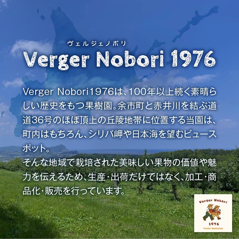 【ふるさと納税】【2026年産 先行予約】＜北海道余市産＞さくらんぼ「佐藤錦」（M～2Lサイズバラ詰め）500g × 2パック 1kg フルーツ 果物 果実 余市産 タルト ジャム デザート サクランボ sakurannbo 朝採れ 贈答用 手土産 アグリ 送料無料 余市町