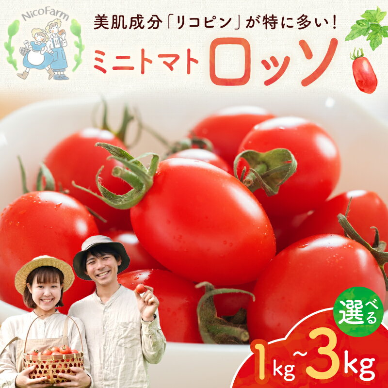 【ふるさと納税】【先行予約:2026年7月下旬頃より発送】【容量が選べる!】NicoFarm Nicoロッソ(ミニトマト) 甘いトマト 果肉多め ジューシー 縦...