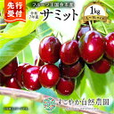 【ふるさと納税】2025年発送【先行予約】令和7年産 サミット【L〜2Lサイズ】1Kg【すこやか自然農園】北海道 余市 フルーツ デザート 果物 季節限定 とれ...