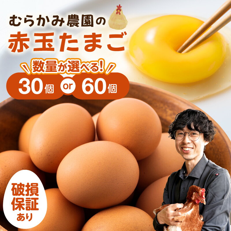 【ふるさと納税】むらかみ農園の赤玉たまご 北海道 余市町 送料無料
