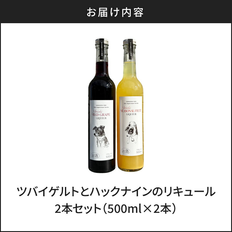 【ふるさと納税】甘口で飲みやすい ツバイゲルト＆ハックナイン リキュール 2本セット 500ml × 2本 甘口 飲みやすい ギフト ワインぶどう りんご 北海道 特産品 お酒 アルコール 果実酒 ワイン 洋酒 プレゼント クリスマス お歳暮 記念日 誕生日 北海道 余市町 送料無料