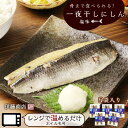 【ふるさと納税】骨まで食べられる! 一夜干し にしん 塩味5袋 アメリカ産【伊藤商店】