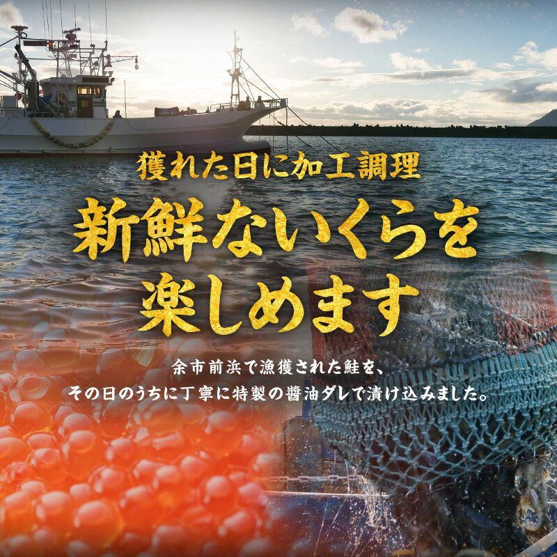 【ふるさと納税】北海道の味 旨味 新鮮 逸品 いくら 醤油漬け 500g 250g×2 秋鮭 魚卵 魚介 海鮮 手巻き寿司 ちらし寿司 冷凍 特製醤油ダレ 濃厚 旨み プチプチ 食感 いろんな食べ方 白米 大根おろし いくら丼 ちらし寿司 ギフト お取り寄せ 北海道 余市町 送料無料