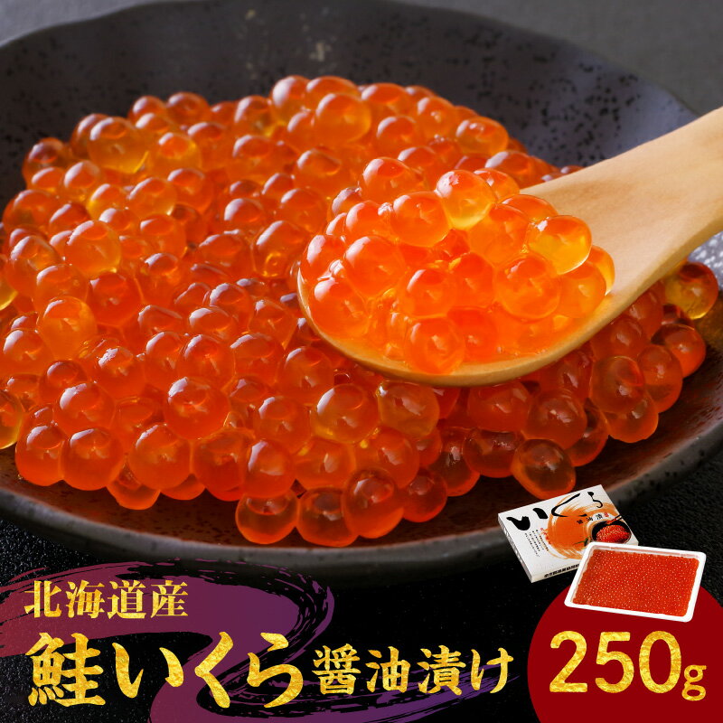 【ふるさと納税】北海道の味 旨味 新鮮 逸品 いくら 醤油漬