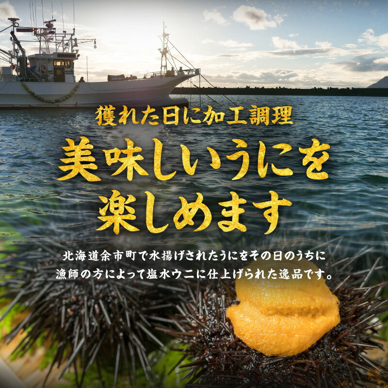 【ふるさと納税】旨み 北海道産 うに 食べ比べ セット 粒うに 塩うに 50g × 2 余市 ウニ 魚介 海産物 海の幸 海鮮 グルメ つまみ ご飯のお供 食べ物 うにご飯 いかのうに和え うにパスタ お寿司 手巻き寿司 いちご煮 海鮮丼 ギフト 余市郡漁業協同組合 お取り寄せ 送料無料