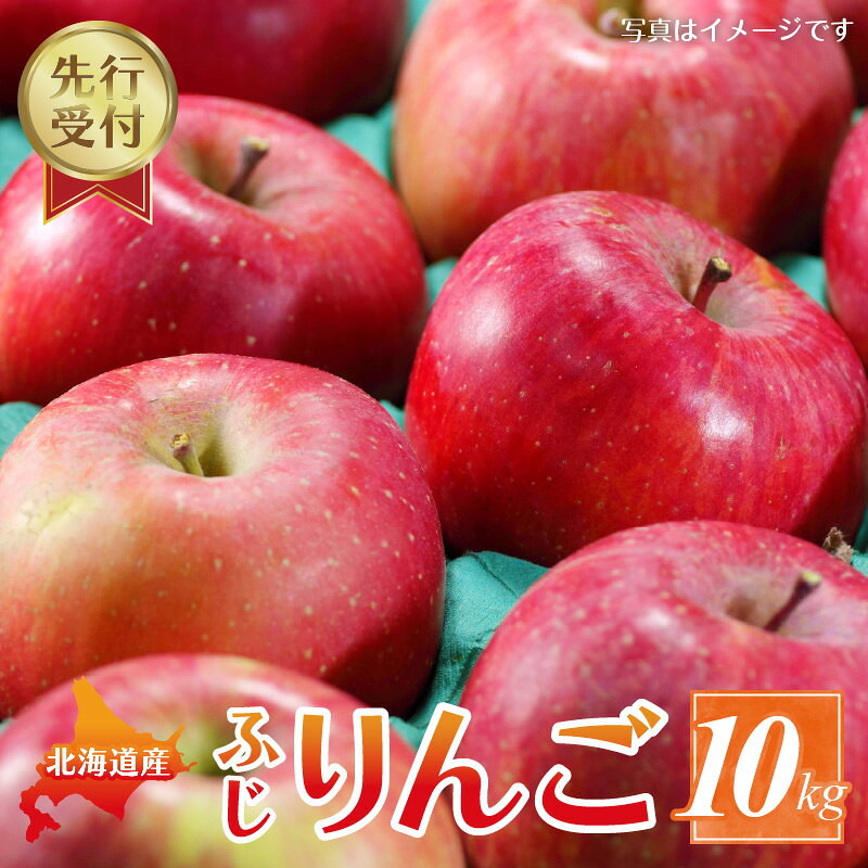 【2024年11月下旬以降発送分先行予約】りんご ふじ 10kg 果物 アップル フルーツ お取り寄せ 先行予約 北海道 余市町 送料無料