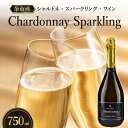【ふるさと納税】ぶどうの旨味が広がる シャルドネ スパークリング ワイン 750ml 北海道 余市町産 オチガビワイナリー すっきり 辛口 ブドウ 程よい酸味 ...