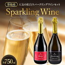 【ふるさと納税】【2026年2月以降発送】特別なおもてなしに スパークリング ワイン 紅白セット 750ml ×各1本 オチガビワイナリー 北海道 余市町産 飲み比べ ぶどう アルコール お酒 濃厚 フレッシュ 飲みやすい ギフト お祝い パーティー お取り寄せ 送料無料