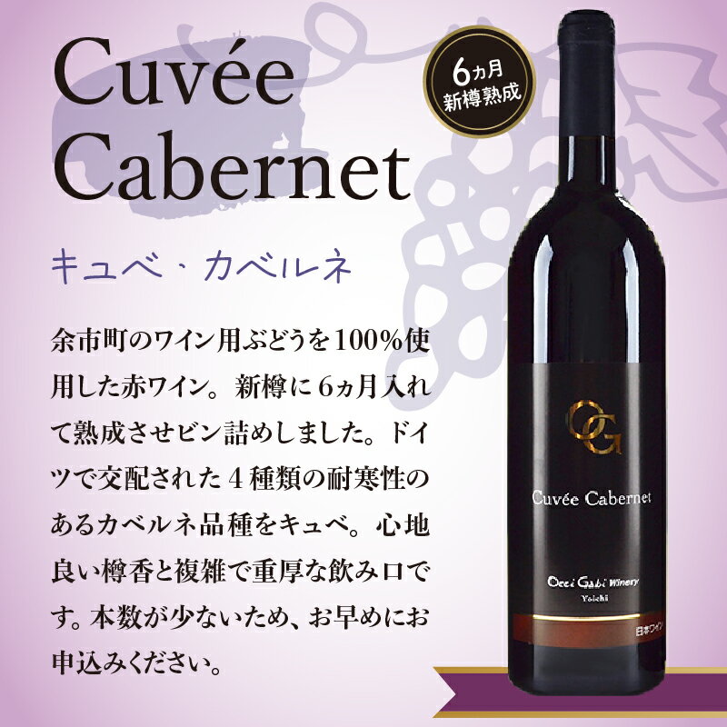 【ふるさと納税】 贈り物にもぴったり 特選紅白 ワイン 赤 白 2本 セット 各750ml 北海道 余市町産 オチガビワイナリー キュベ カベルネ ゲヴュルツトラミナー 贈り物 プレゼント 化粧箱 定番 ぶどう スパイシー 果実味 お酒 送料無料