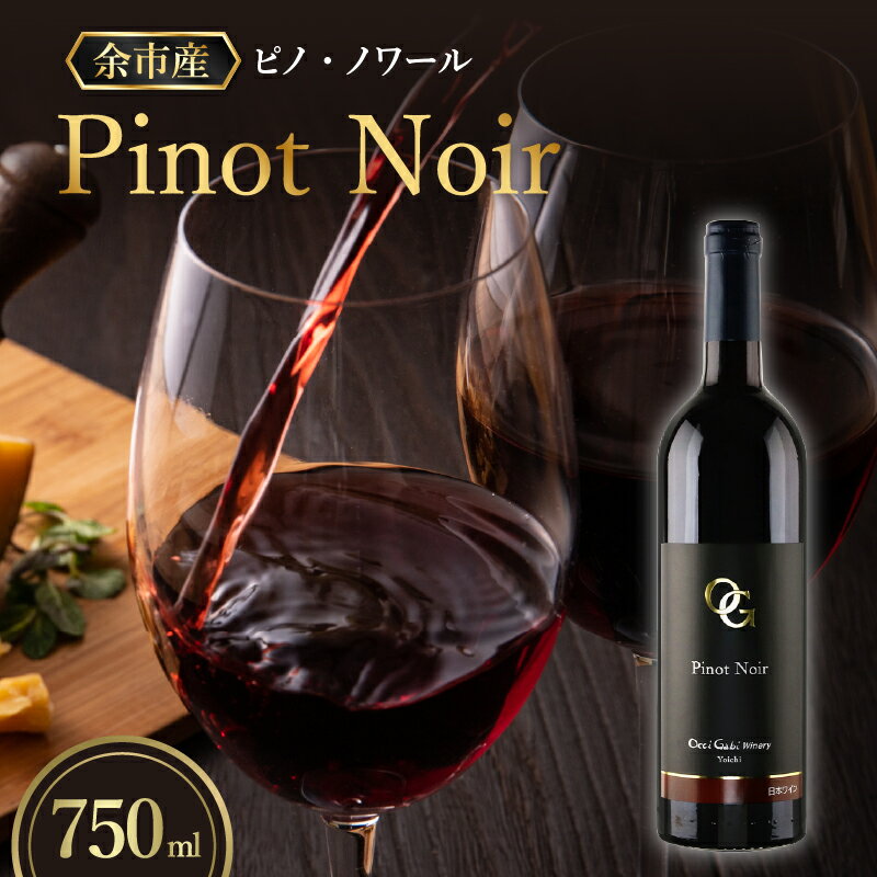 【ふるさと納税】余市町産ぶどうを使用した 赤ワイン ピノ ノワール 750ml OcciGabi Winery 北海道 余市 ぶどう お酒 ワイン 葡萄酒 果実酒 複雑な味 深い味わい お魚料理 お肉料理 和食 お取り寄せ 送料無料