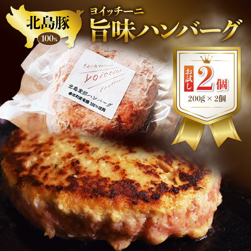 8位! 口コミ数「1件」評価「2」北島豚100％使用！ヨイッチーニ旨味ハンバーグ200g×2個〈ヨイッチーニ〉 お取り寄せ 送料無料