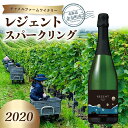 【ふるさと納税】余市町産のぶどうを使用した レジェンド スパークリング 2020 キャメルファームワイナリー 余市町 ぶどう 辛口 ワイン 余韻 フルーティー お取り寄せ お酒 750ml 北海道 お祝い 送料無料