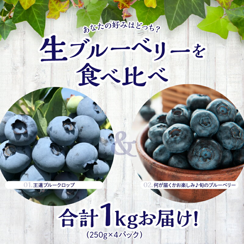 【ふるさと納税】【2024年7月25日以降発送】青果ブルーベリーおまかせ2品種食べ比べセット1kg（250g×4パック）＜アイケイファーム余市＞ スイーツ ジャム パイ フルーツ ポリフェノール スムージー ヨーグルト ジュース タルト マフィン 牛乳 お菓子作り アントシアニン