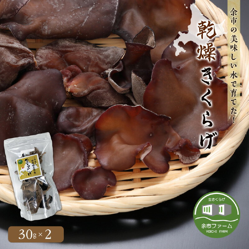 余市の美味しい水で育てた！ 乾燥 きくらげ 30g × 2 日本きくらげ 余市ファーム