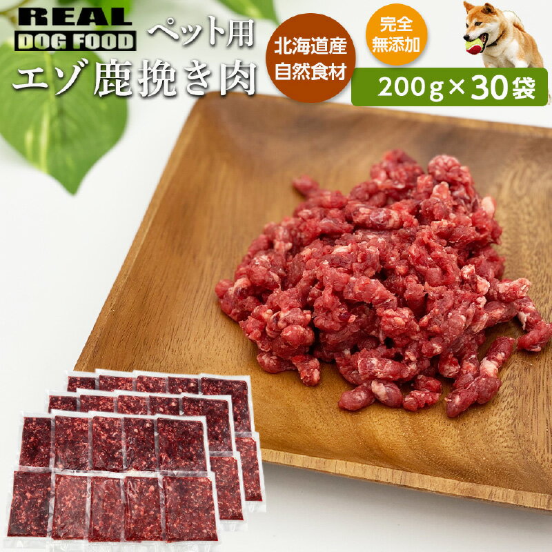 yӂ邳Ɣ[Łzybgp G]҂ 200g~30܁REAL DOG FOOD ybgt[h