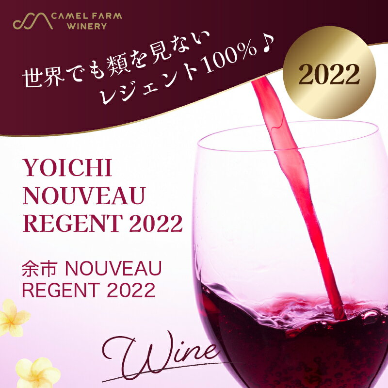 【ふるさと納税】余市町産 ぶどう使用 余市 NOUVEAU 2022 750ml 2本 セット キャメルファーム レジェント100% 北海道 ワイン 赤ワイン ヌーヴォー 果実味 お祝い お取り寄せ 送料無料